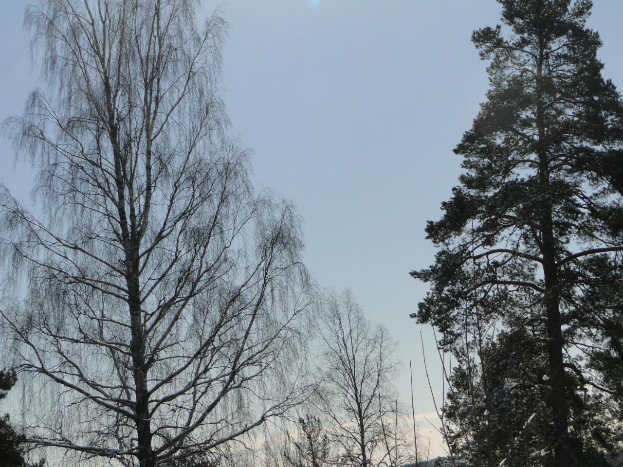 Sunne Hembygdsgard B&B Exteriér fotografie